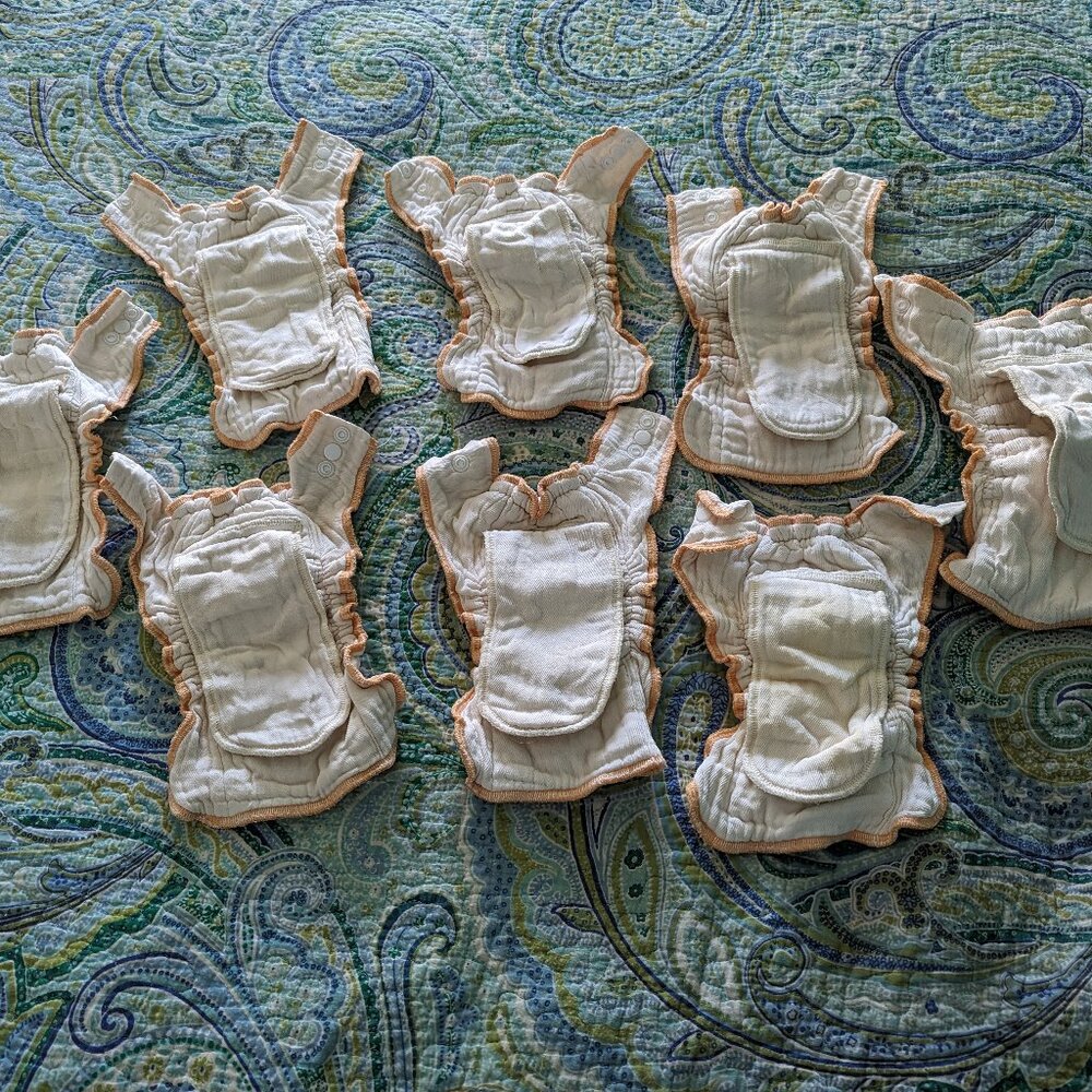 Cloth-eez Workhorse Organic Cloth Diapers, Qty 8